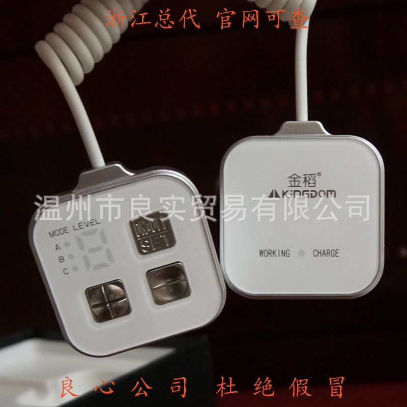 金稻KD908運動電波美體瘦身機 減肚肥瘦腰腿全身批發・進口・工廠・代買・代購