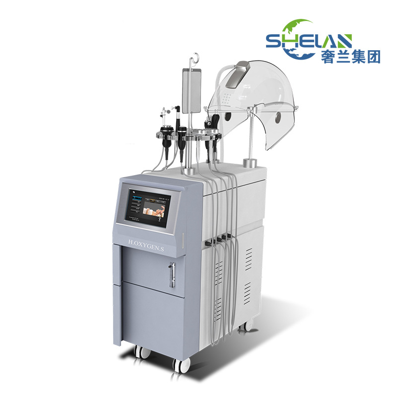 水氧機器註氧機美容院機器麵部補水氧機韓國 負離子美容機註氧機工廠,批發,進口,代購