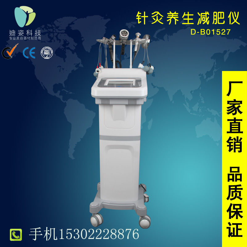 迪姿針灸養生瘦身機經絡通脈活血淋巴排毒消除疲勞美容院用機器工廠,批發,進口,代購