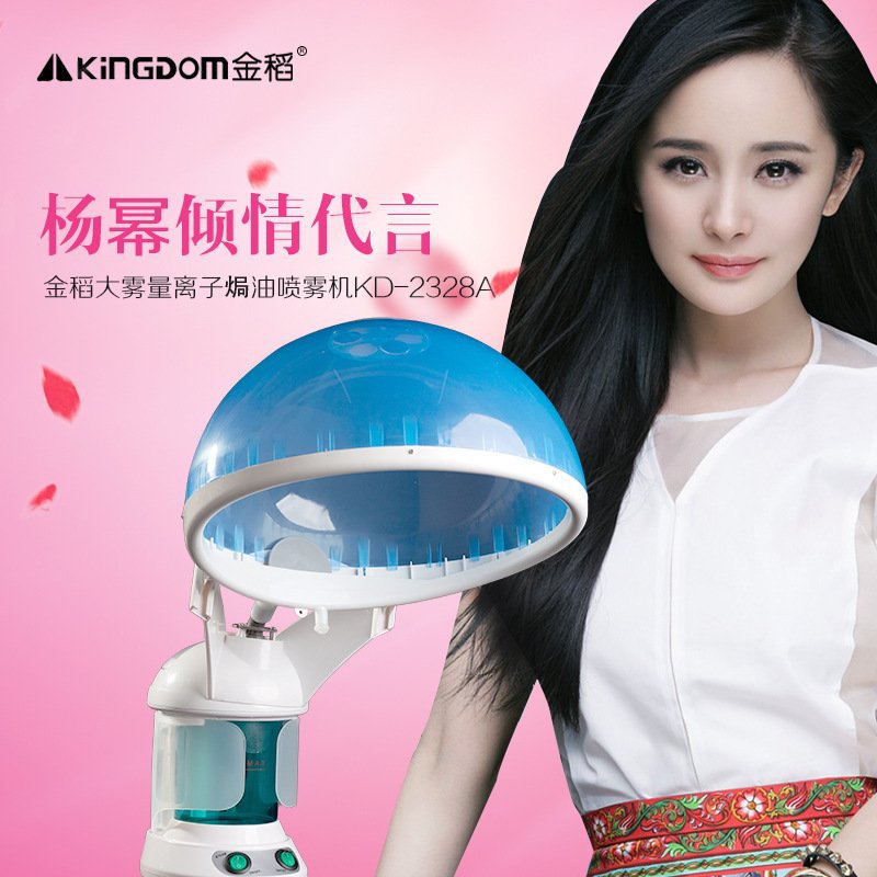 美容機個人護理潔麵器離子焗油機養發噴霧機金稻KD2328A蒸臉器批發・進口・工廠・代買・代購