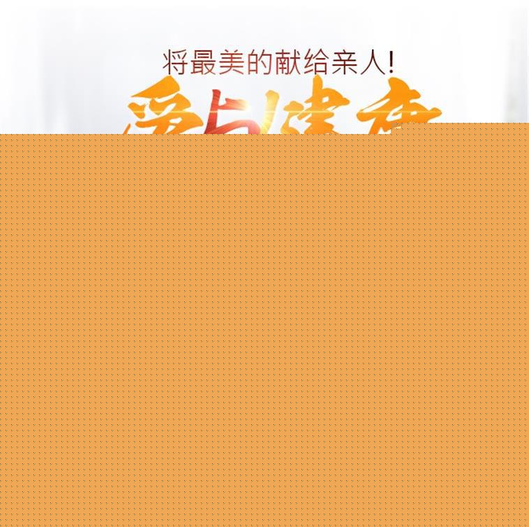 正品奧美佳老年人氣動腿部腰部手臂按摩器空氣波壓力治療機按摩機工廠,批發,進口,代購