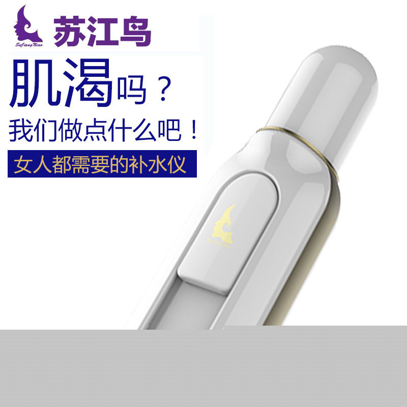 女性專用不脫妝補水機美容機 噴霧加濕器 補水嫩膚 定妝神器工廠,批發,進口,代購
