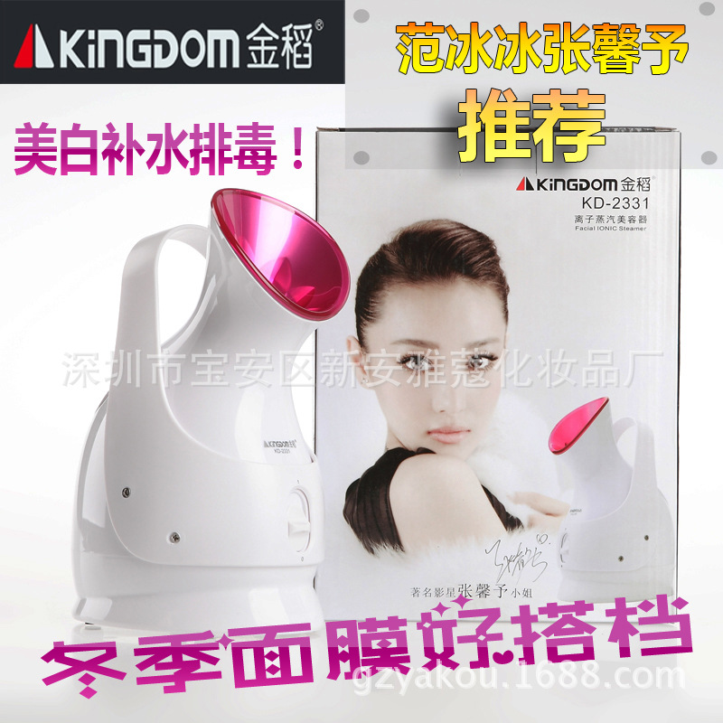 金稻納米蒸臉器補水機神器 噴霧機蒸麵機 傢用美容機器KD-2331女工廠,批發,進口,代購