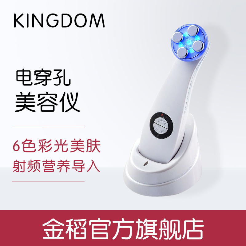 金稻KD-9900五合一電穿孔無針美塑機傢用美容機吸黑頭工廠,批發,進口,代購