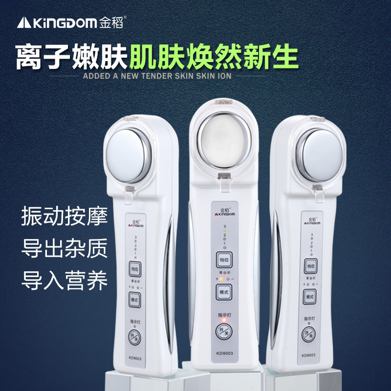 金稻充電負離子導入機 麵部排毒導出機KD-9003微電流+震動美容機批發・進口・工廠・代買・代購